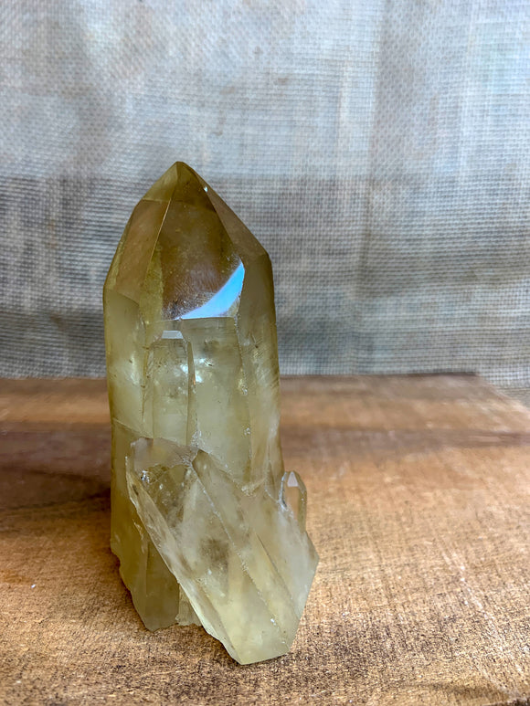 Citrine Natural Point with Polished Point