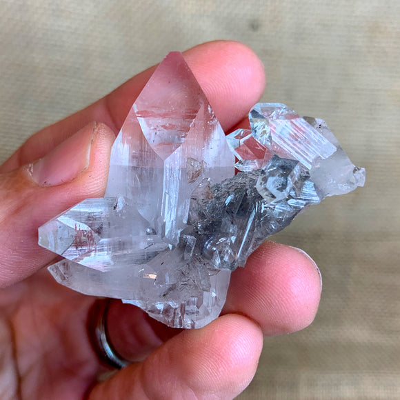Apophyllite Crystal Cluster with Black Chalcedony