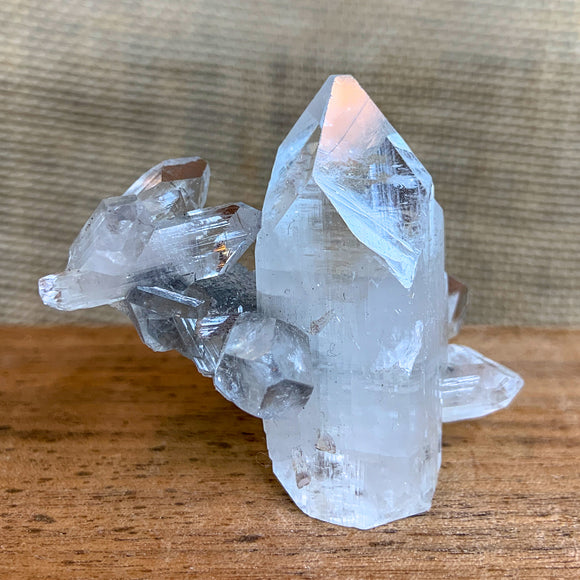 Apophyllite Crystal Cluster with Black Chalcedony