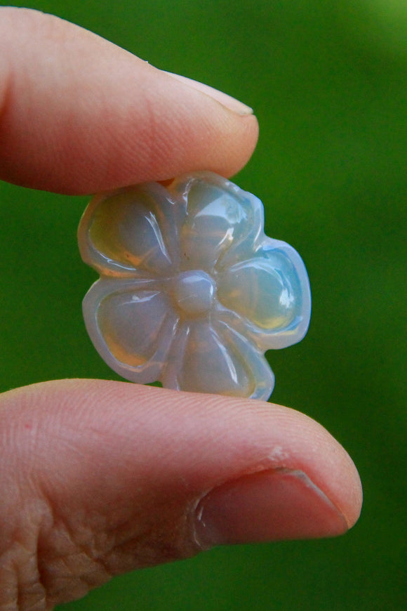 Precious Opal Carved Flower Front Shade